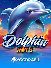 Dolphin Hot 1